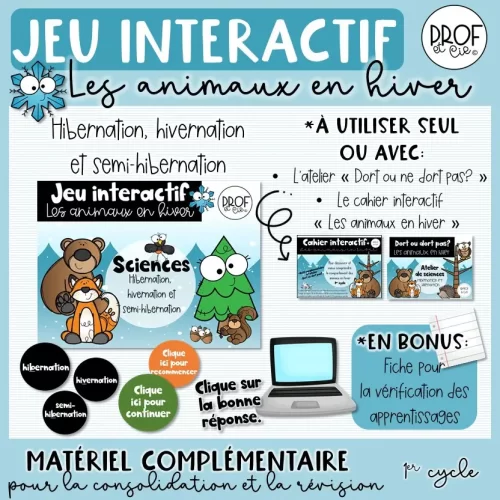 PUB Jeu interactif les animaux en hiver.jpg