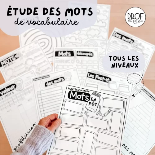 Étude des mots de vocabulaire - tous les niveaux - Prof et cie