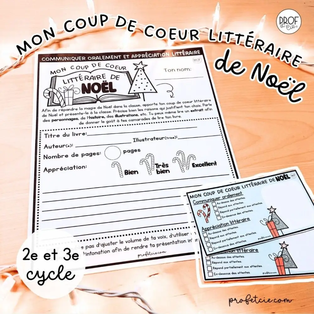 Mon coup de coeur littéraire de Noël (2e et 3e cycle)