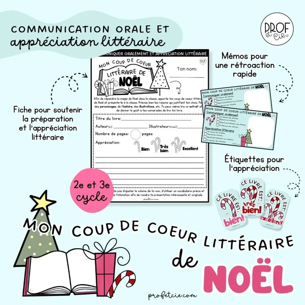 Mon coup de coeur littéraire de Noël (2e et 3e cycle) - Image 2