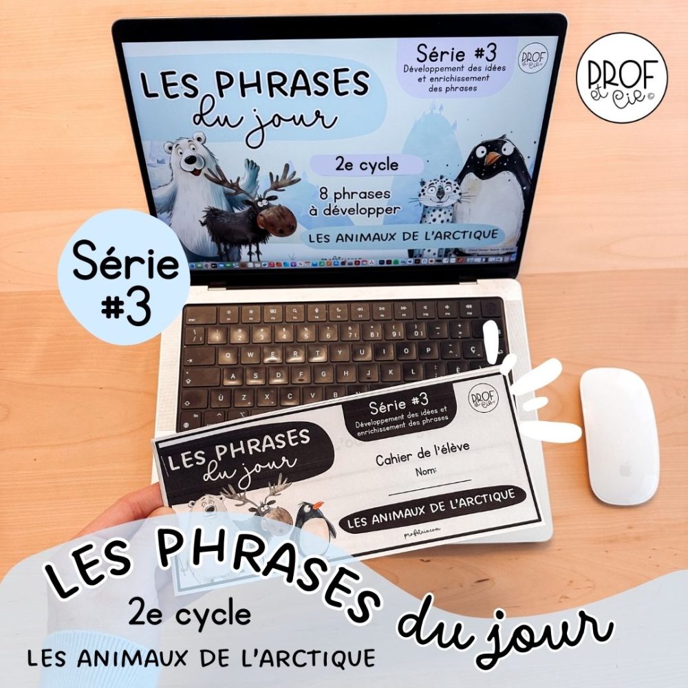 Phrases du jour Série #3 (Les animaux de l'arctique) 2e cycle