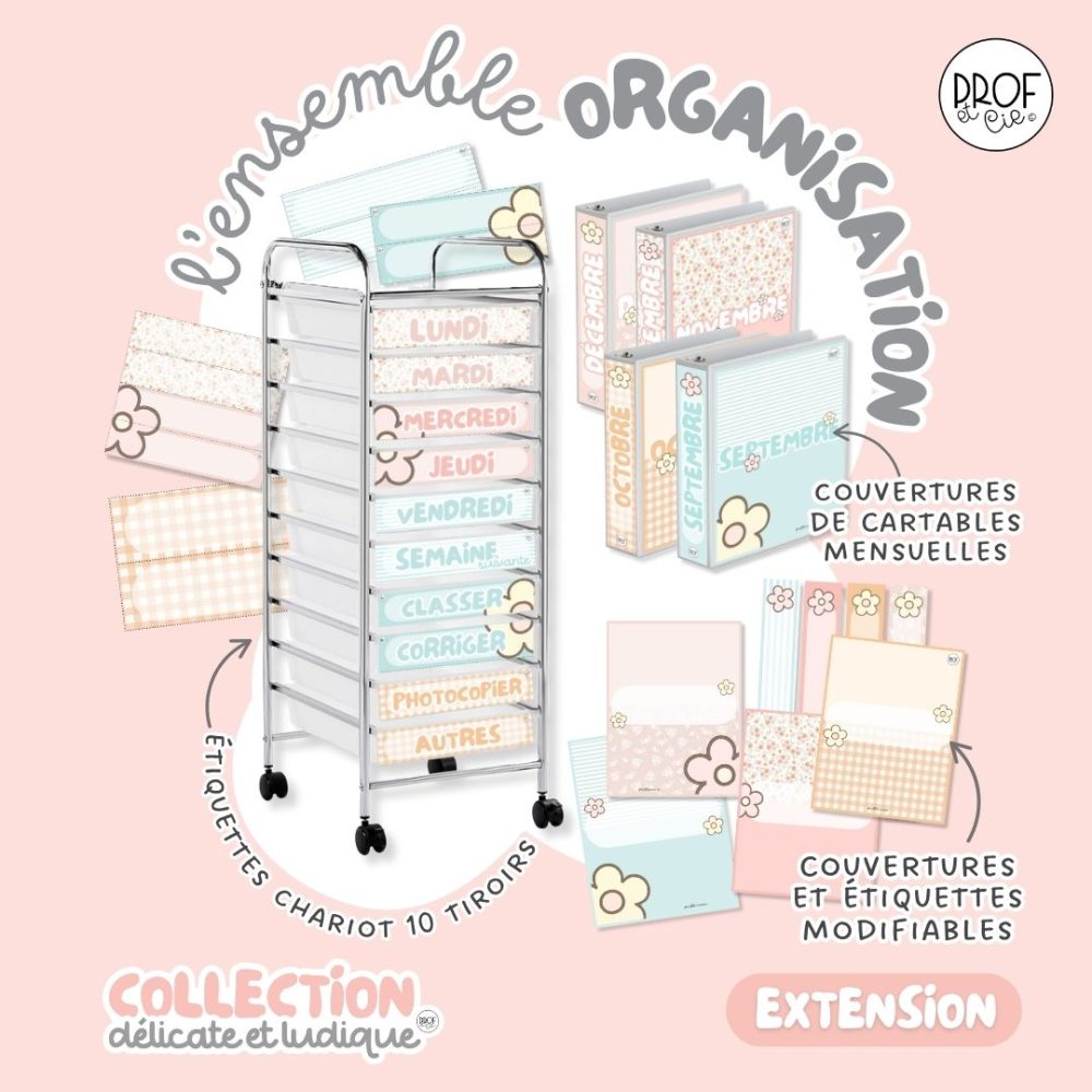 Ensemble organisation (collection Délicate et ludique)