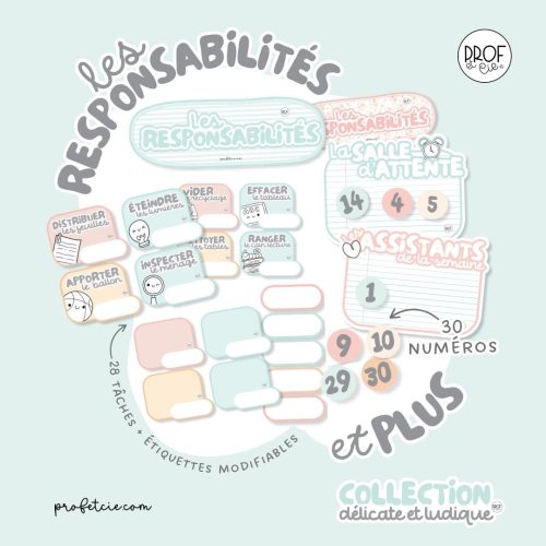 Les responsabilités et plus (collection Délicate et ludique)
