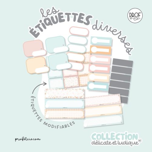 Les étiquettes diverses (collection Délicate et ludique)