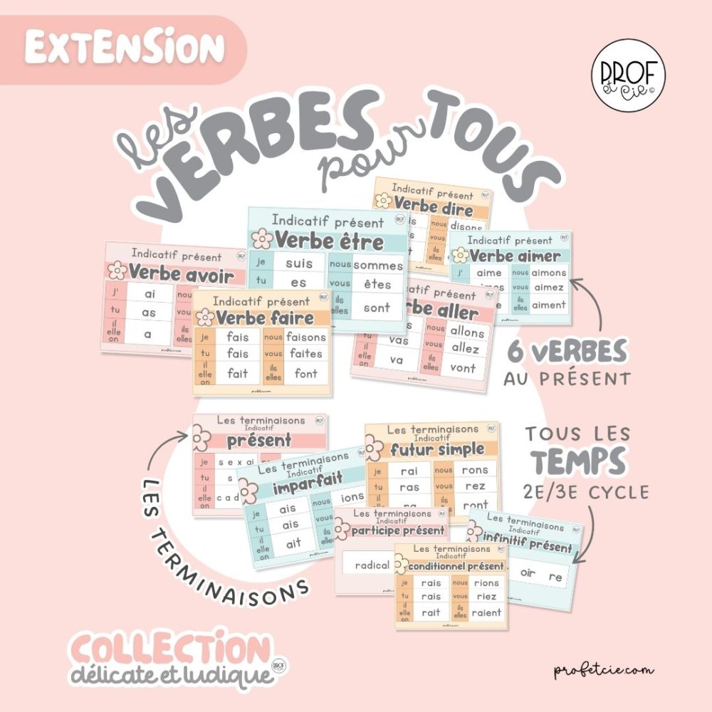 Les verbes pour tous (collection Délicate et ludique)