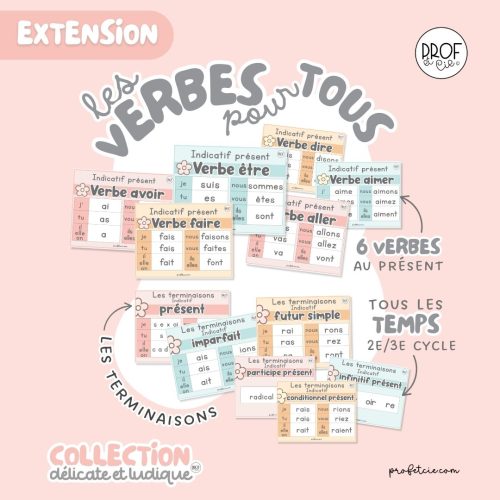 Les verbes pour tous (collection Délicate et ludique)